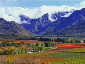 кейптаун мыс доброй надежды