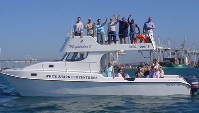 Белые акулы в бухте Gansbaai - Image 4