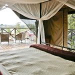 Tarangire river camp room