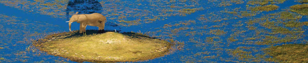 IrinaAfricaSafaris