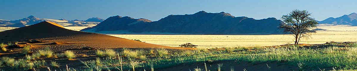 IrinaAfricaSafaris