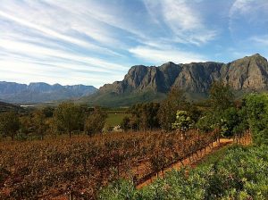 Стелленбош