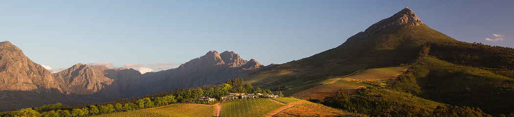 IrinaAfricaSafaris