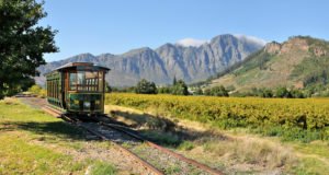 Винный тур франчхук