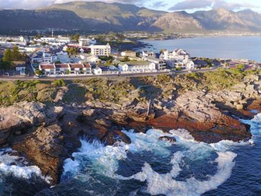 whale watching hermanus