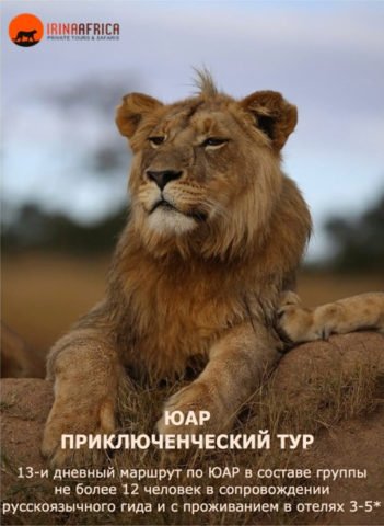 Kap Tour юар